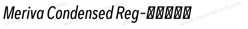 Meriva Condensed Reg字体转换